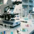 Revolutionary FEOX Biosensor Enables Real-Time Cellular Iron Tracking in Stem Cell Research