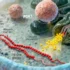 Cellular Survival Strategy Uncovered: How Epigenetic Switches Enable Adaptation to Oxygen Deprivation