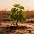 AI-Powered Ecological Forecasting: A Proactive Shield Against Plant Invasions