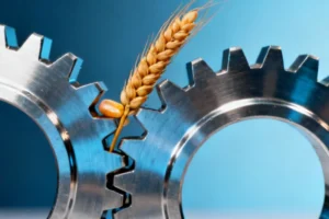 US-India Trade Agreement Could Slash Tariffs to 15-16%, Boos - Potential Breakthrough in US-India Trade Relations The United
