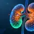 AI Model Uses Texture Analysis to Detect Kidney Damage in Real-Time Imaging