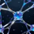 Brain’s “Pruning” Mechanism Emerges as Surprising Link Between Alzheimer’s and Epilepsy