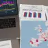 New European Carbon Dataset Reveals Power Grid Complexities