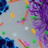 RNA Condensates: The Hidden Architects of Cell Identity