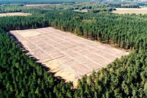 Spanish Energy Giant Forestalia Plows €12B Into Data Centers - Professional coverage