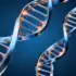 CRISPR Baby Startups Are Here, But Are They Helping?