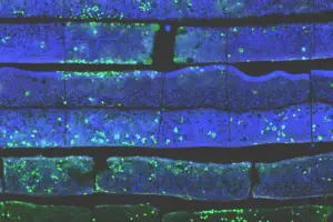 The Cloud Cost Rebellion is Here, and It's All About Control - Professional coverage