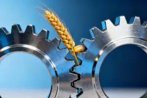 The US Wants Your Social Media History to Visit - Professional coverage